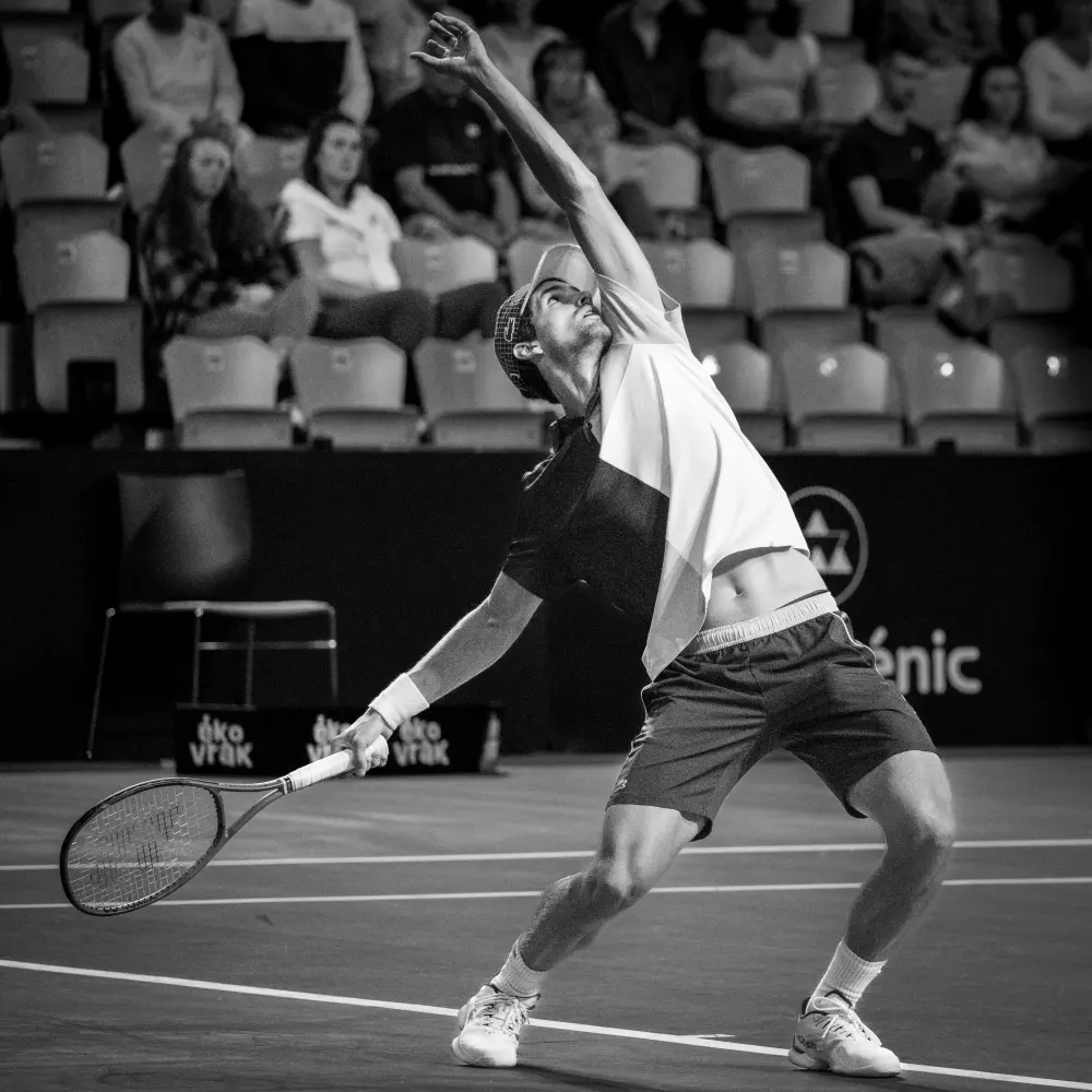 PIERRE HUGUES HERBERT