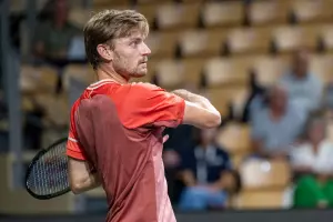 David Goffin
